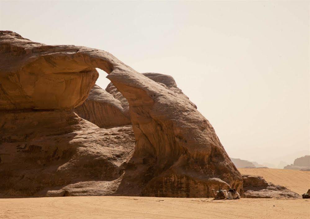 Wadi Rum Caravan Camp Экстерьер фото